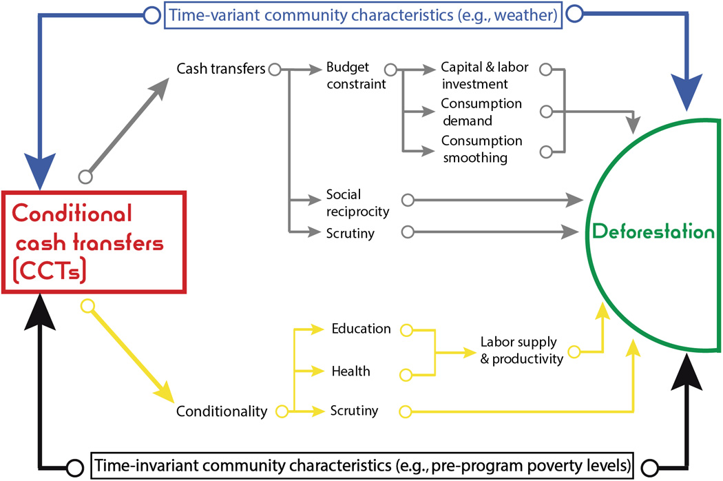 Also protects. Causal graph. Direction acyclic graph. Prospera conditional Cash transfer. Counterfactual treatment Group статистика.