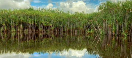 Sungai Kelaru,Kalimantan Tengah