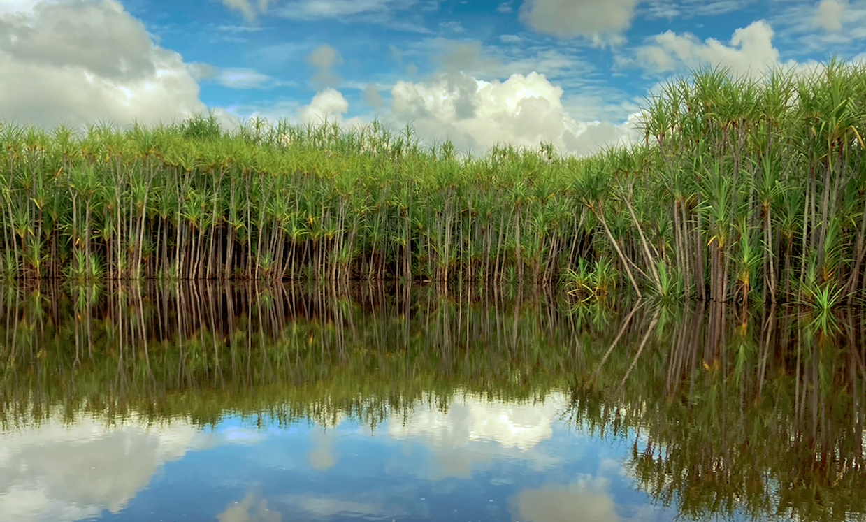 Sungai Kelaru,Kalimantan Tengah